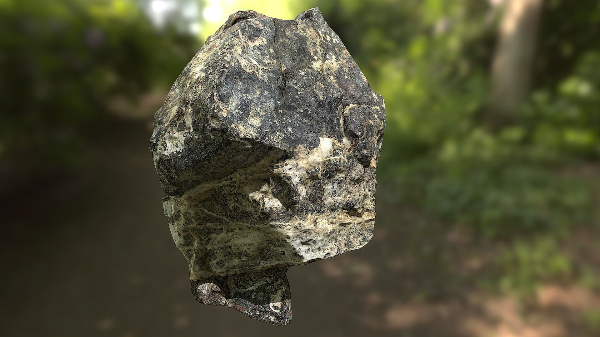Rock low poly 3D model in forest Low-poly 3D model_6