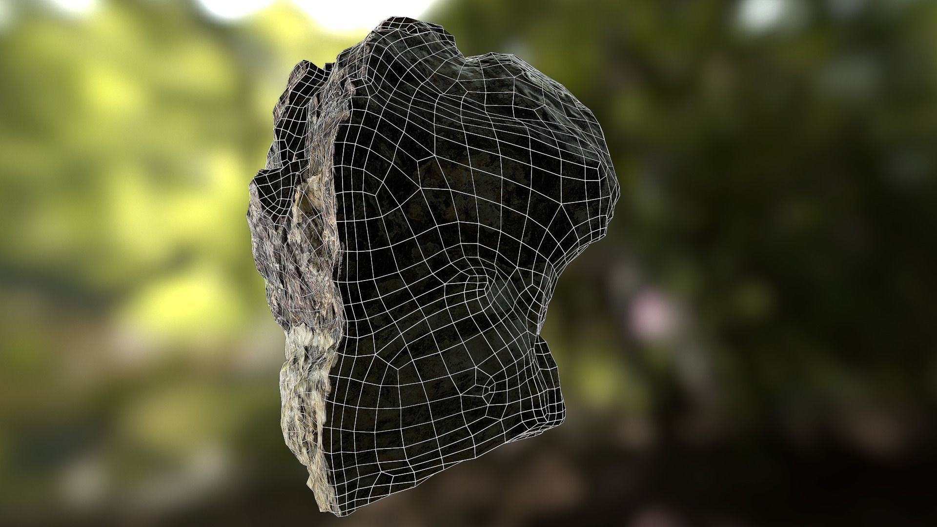 Rock low poly 3D model in forest Low-poly 3D model_13