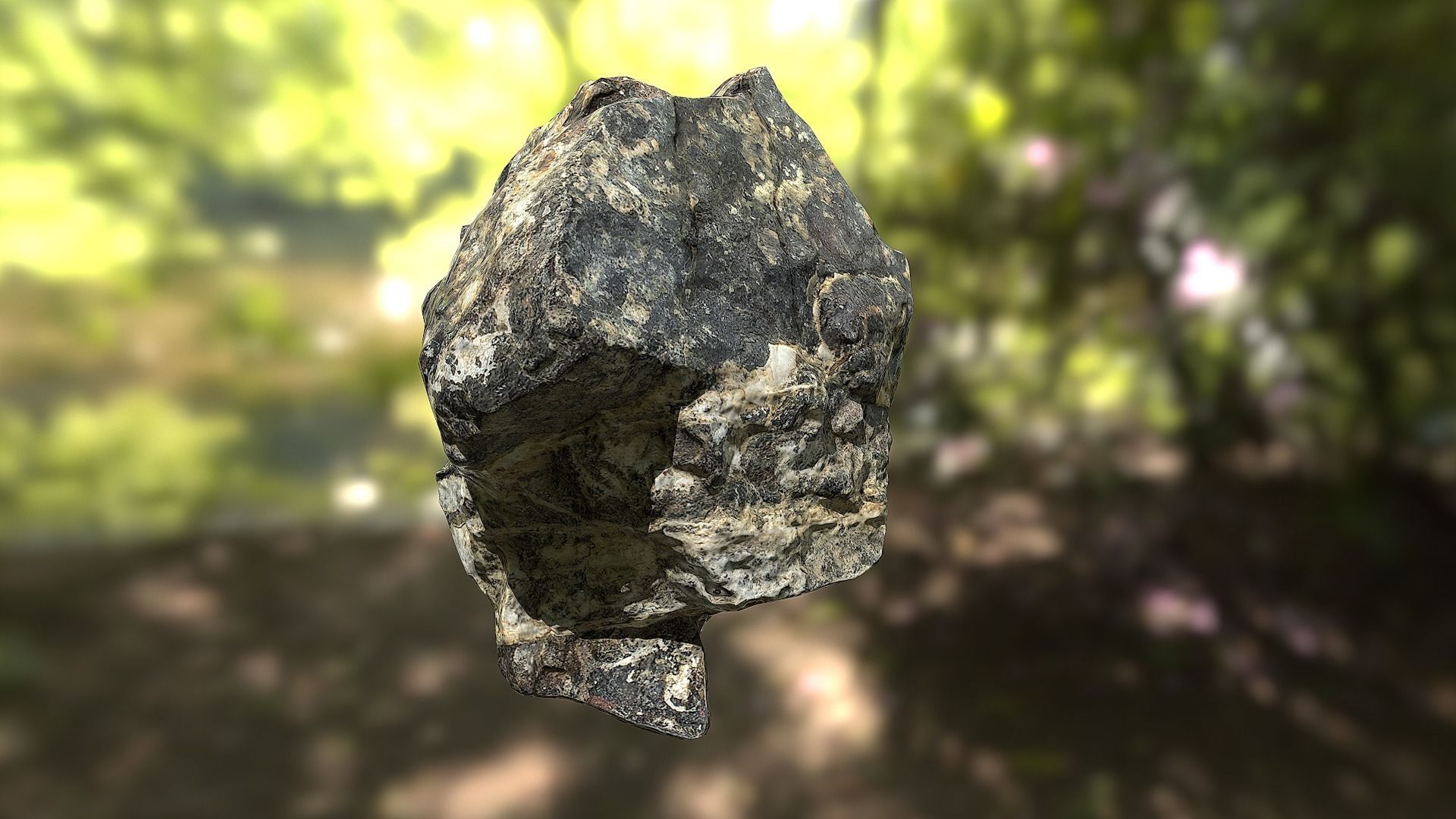 Rock low poly 3D model in forest Low-poly 3D model_9