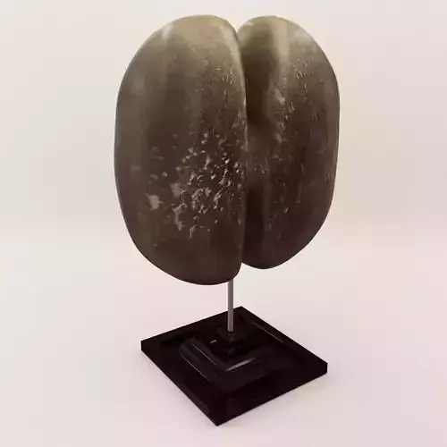 Sculpture Coco de Mare - Around 1900 3D model