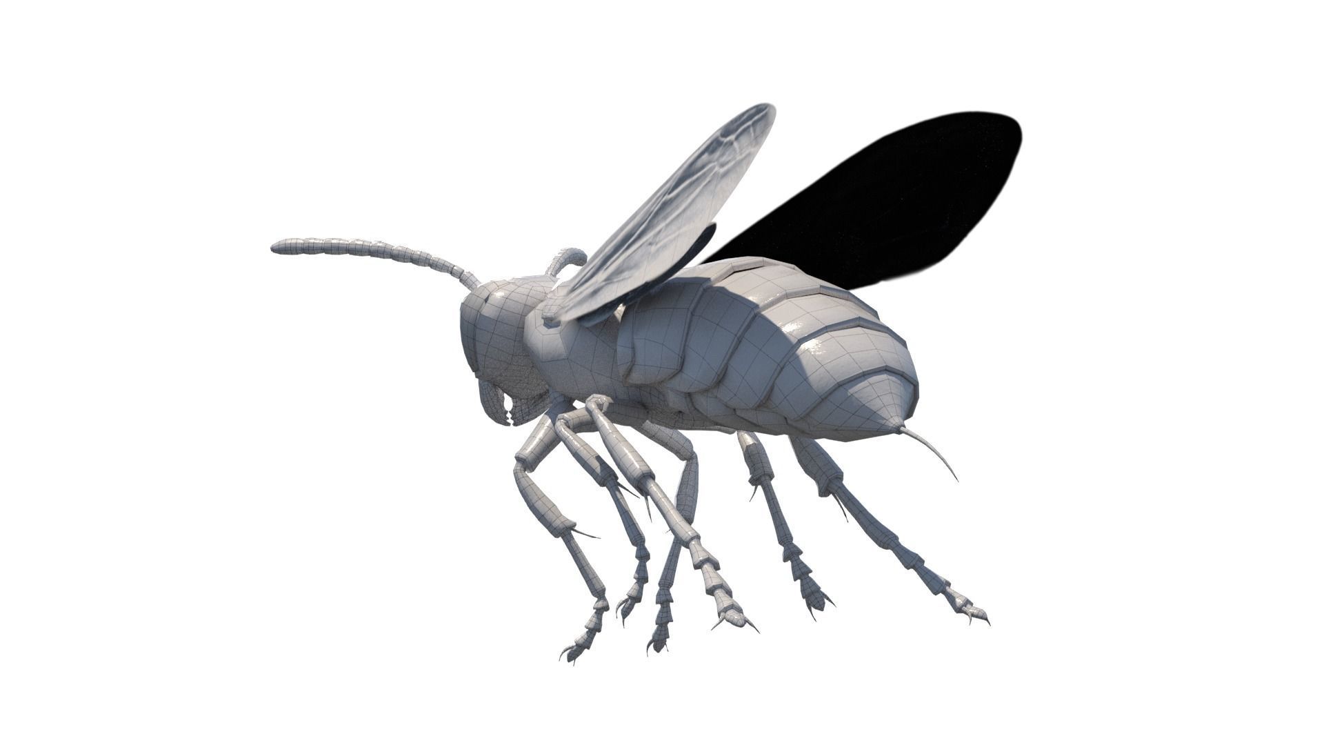 Yellow Jacket Wasp - Vespula Squamosa 3D model_8