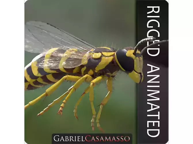 Yellow Jacket Wasp - Vespula Squamosa 3D model