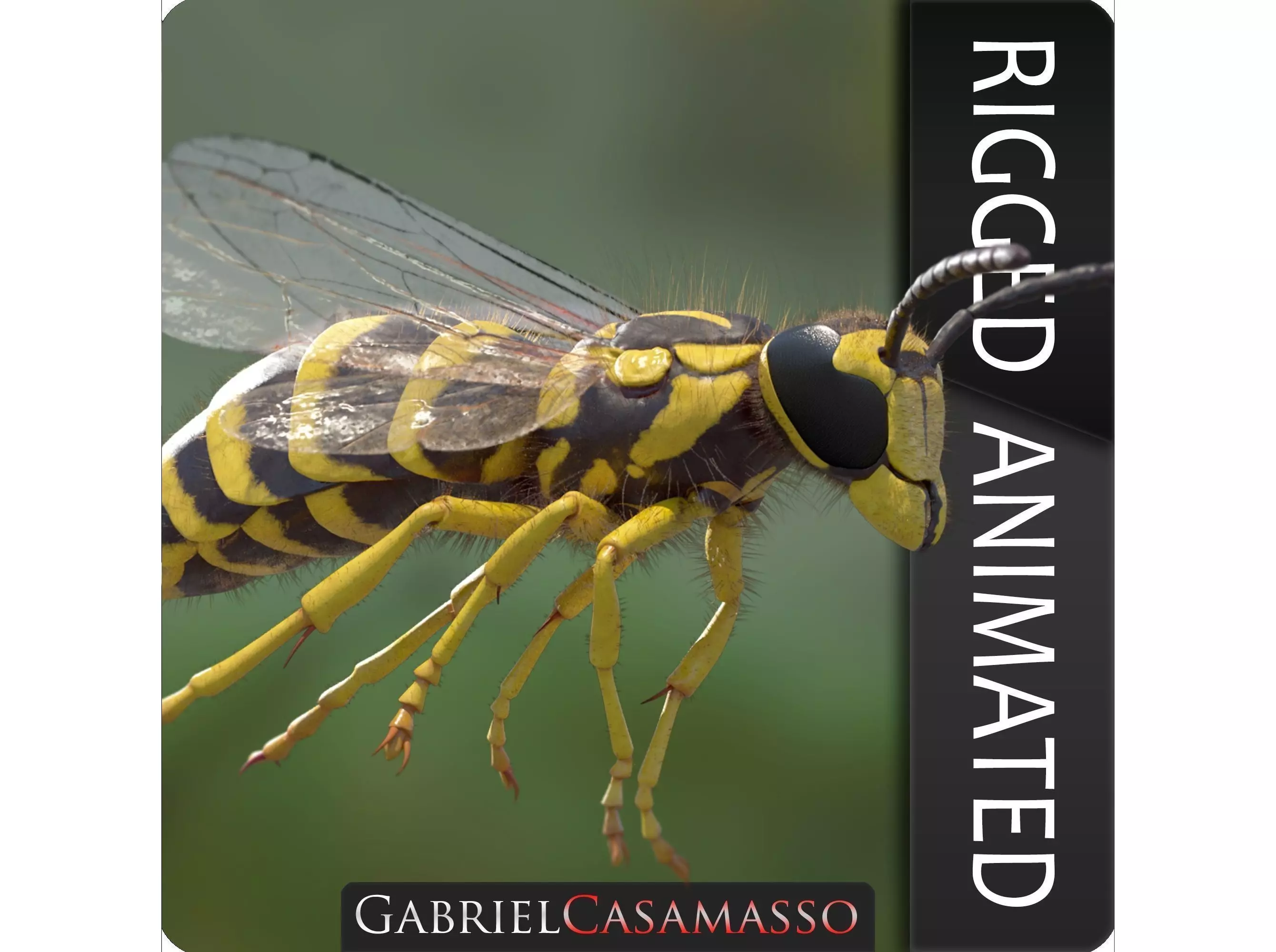 Yellow Jacket Wasp - Vespula Squamosa 3D model_0