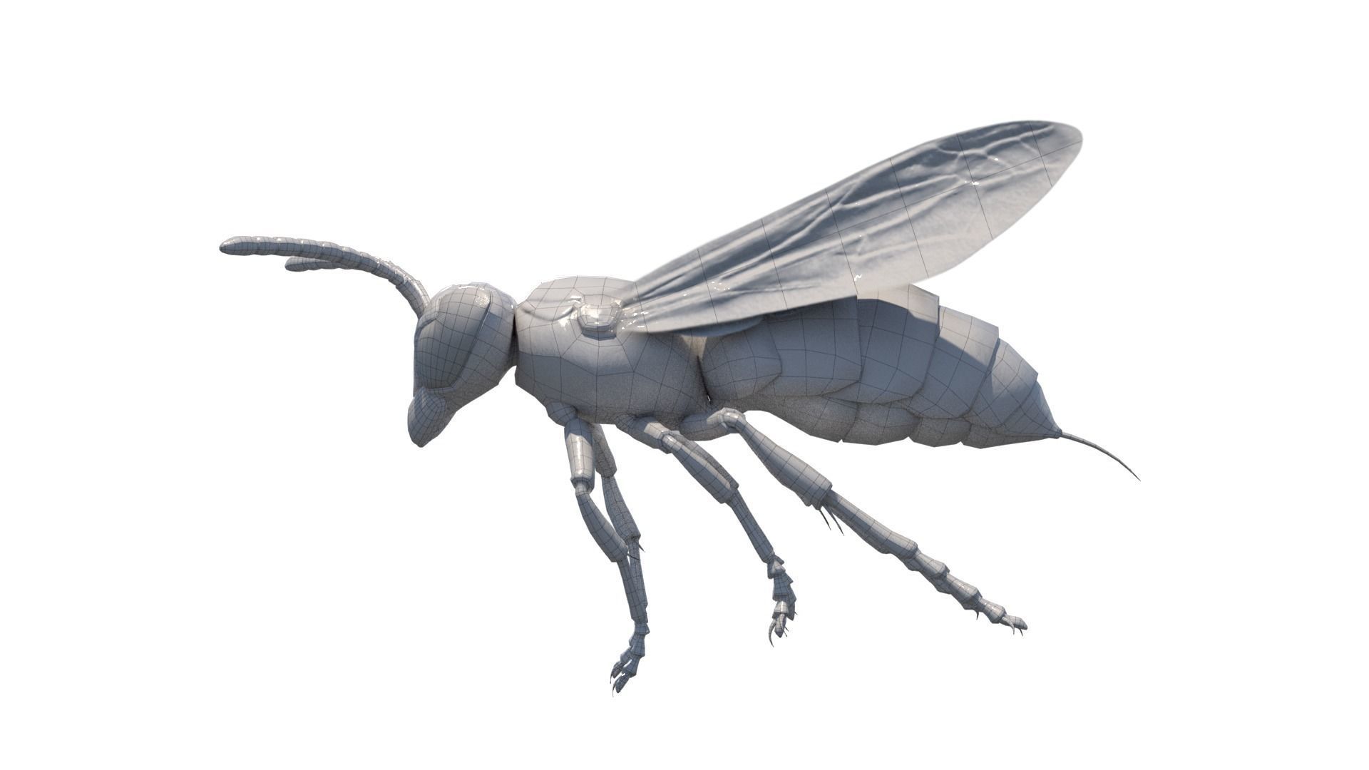 Yellow Jacket Wasp - Vespula Squamosa 3D model_6