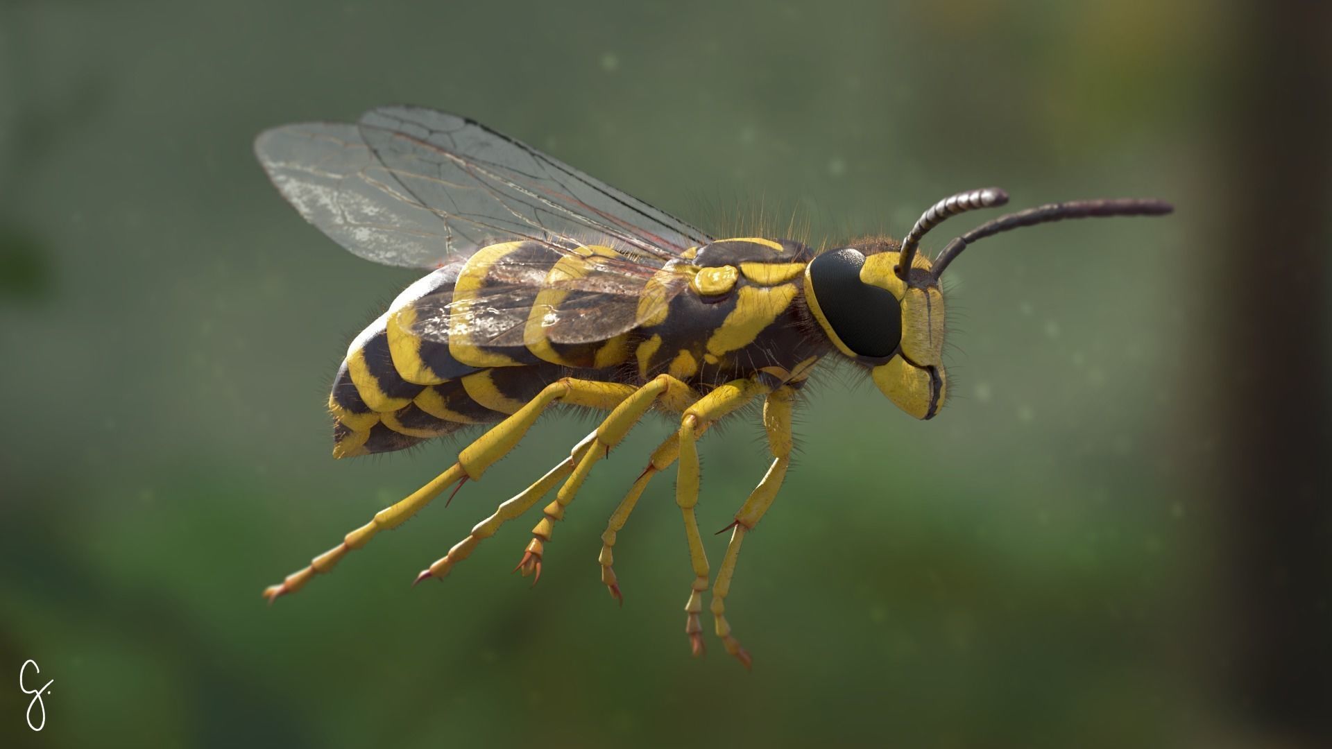 Yellow Jacket Wasp - Vespula Squamosa 3D model_10