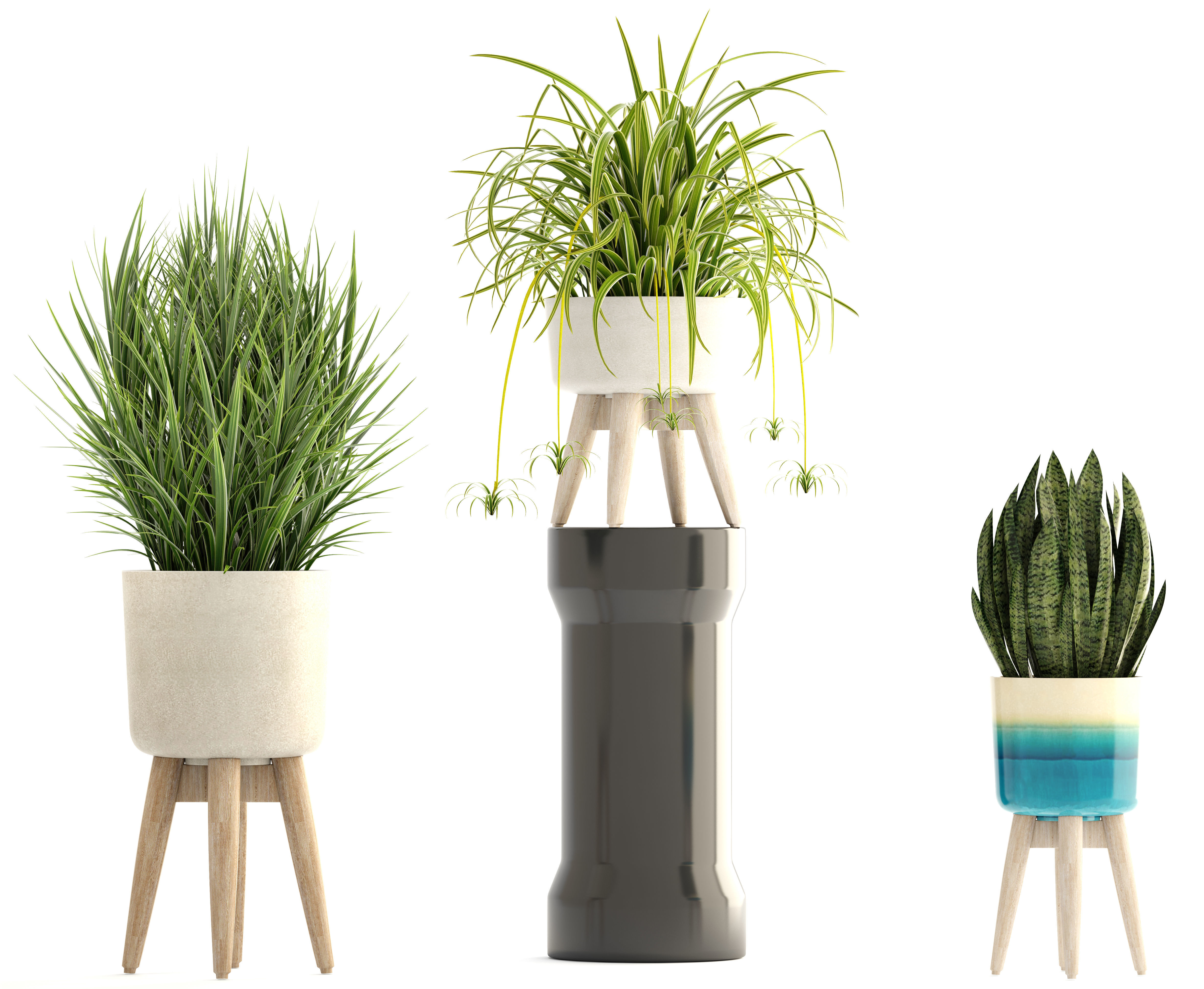 Collection plants plant in wooden pot 3D model_3
