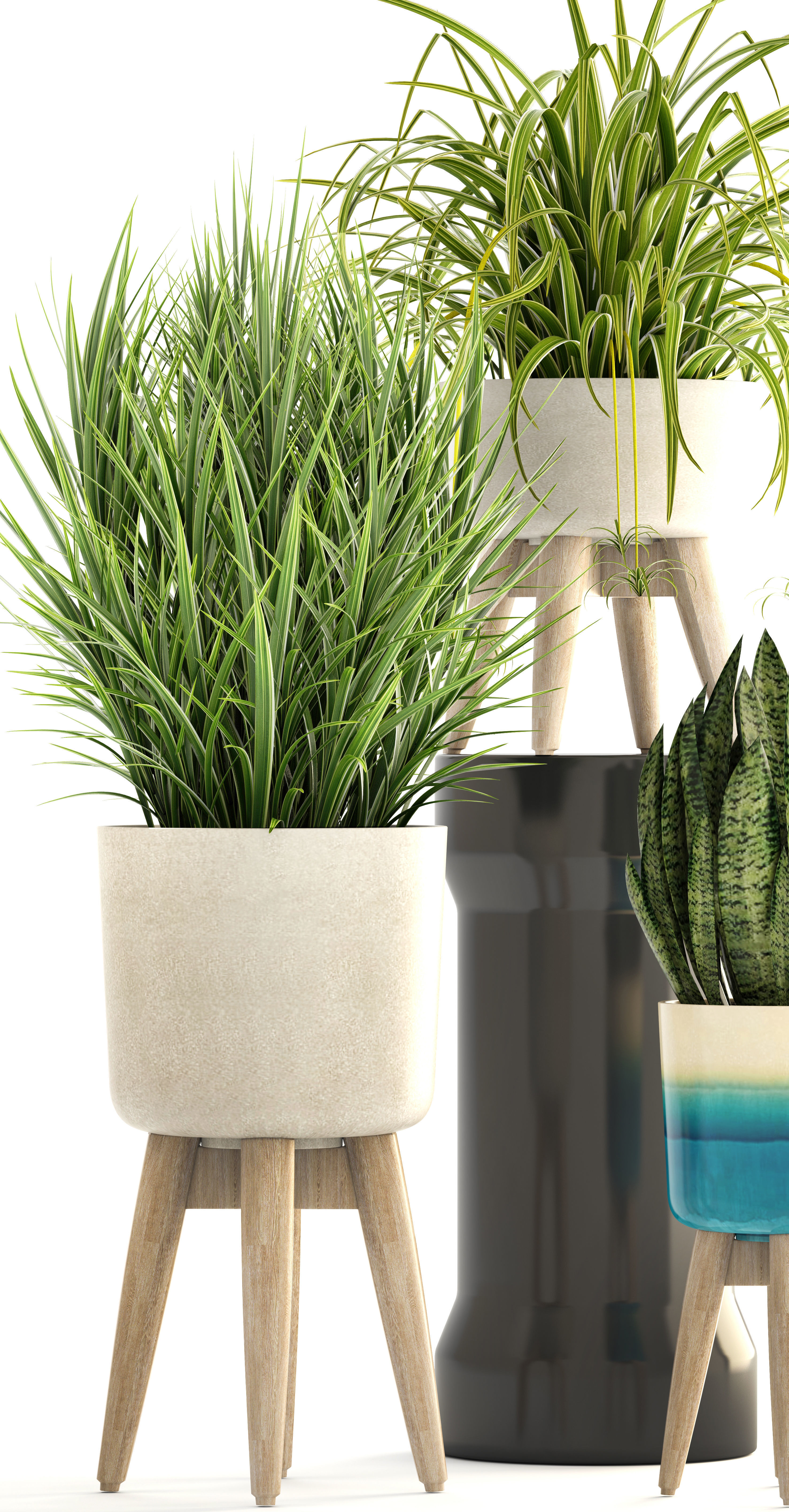 Collection plants plant in wooden pot 3D model_11