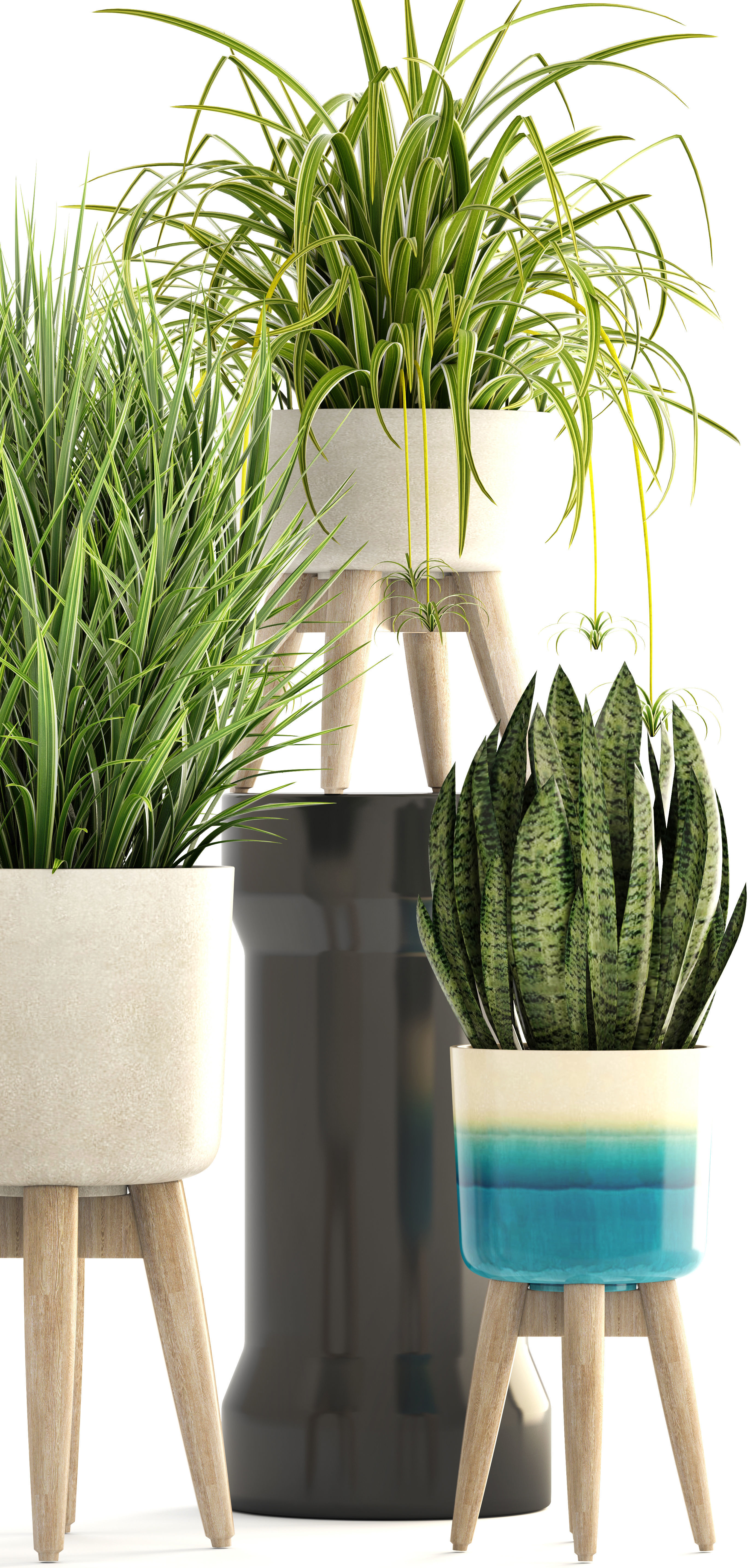 Collection plants plant in wooden pot 3D model_9