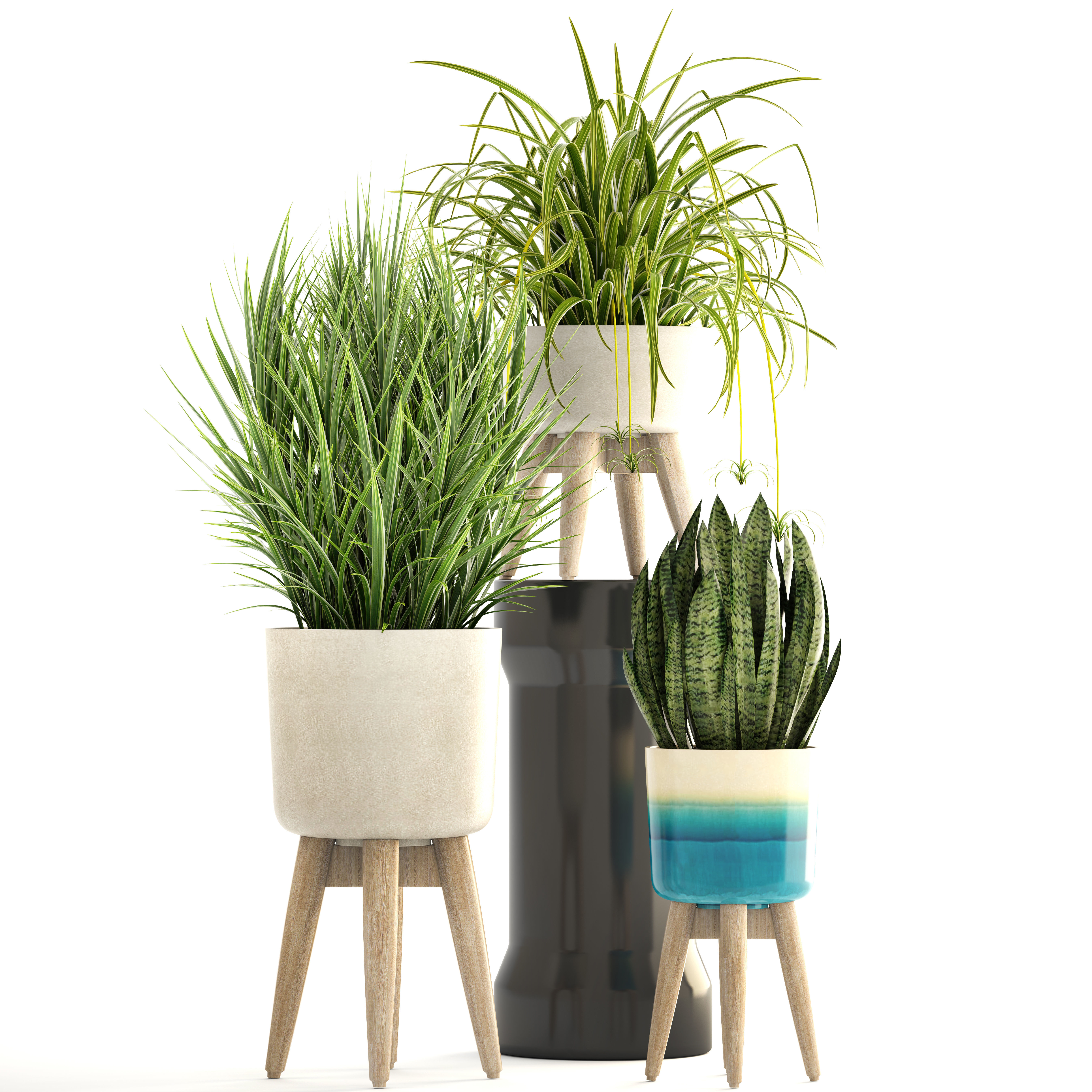 Collection plants plant in wooden pot 3D model_1