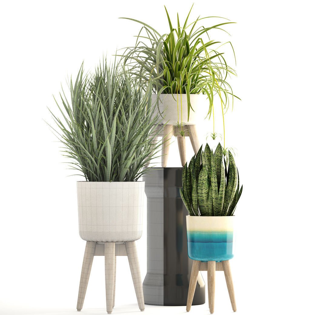 Collection plants plant in wooden pot 3D model_5
