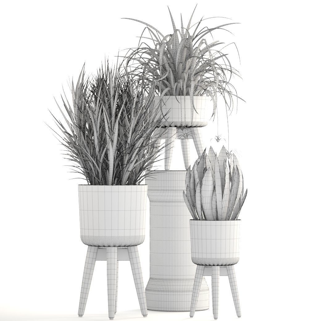 Collection plants plant in wooden pot 3D model_7