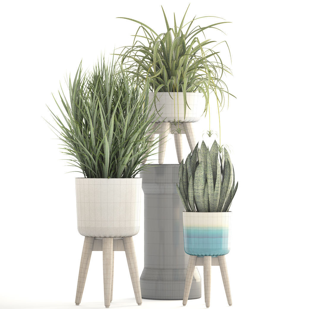 Collection plants plant in wooden pot 3D model_6