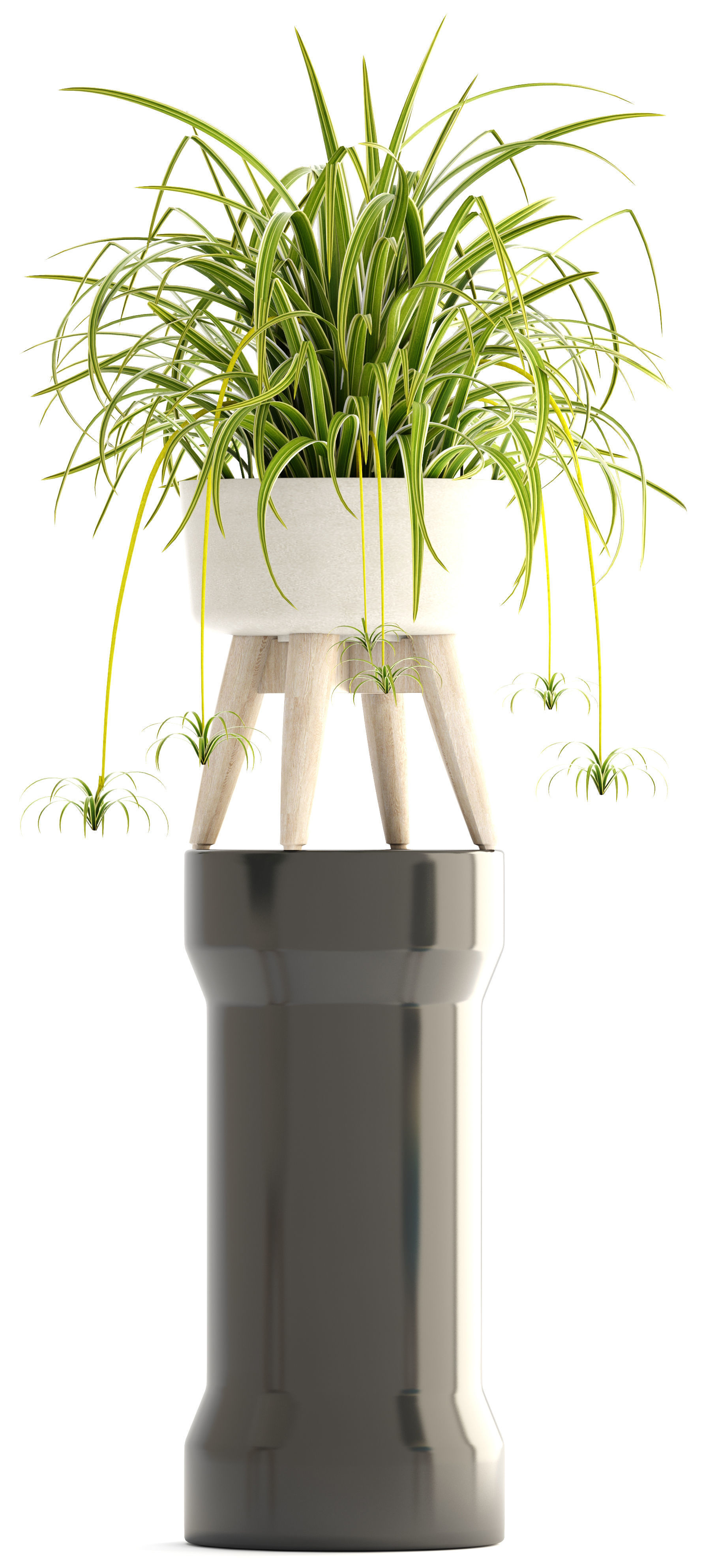 Collection plants plant in wooden pot 3D model_10