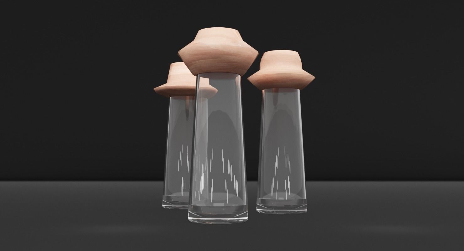 Salt and Pepper Glass Shaker Low-poly 3D model_3