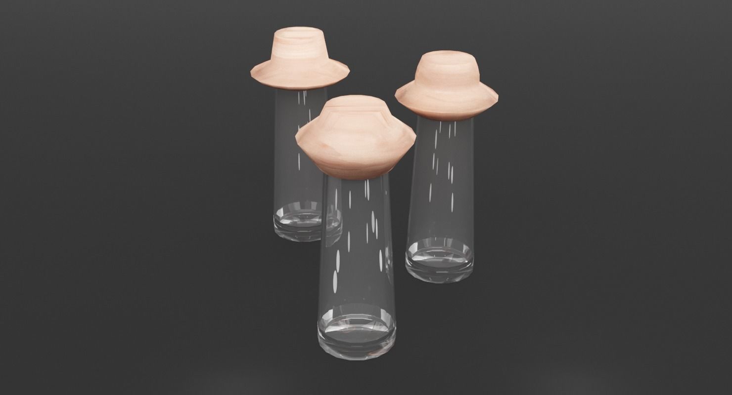 Salt and Pepper Glass Shaker Low-poly 3D model_4