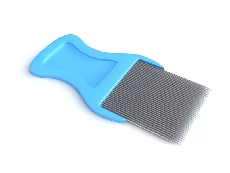 Lice Comb 3D model