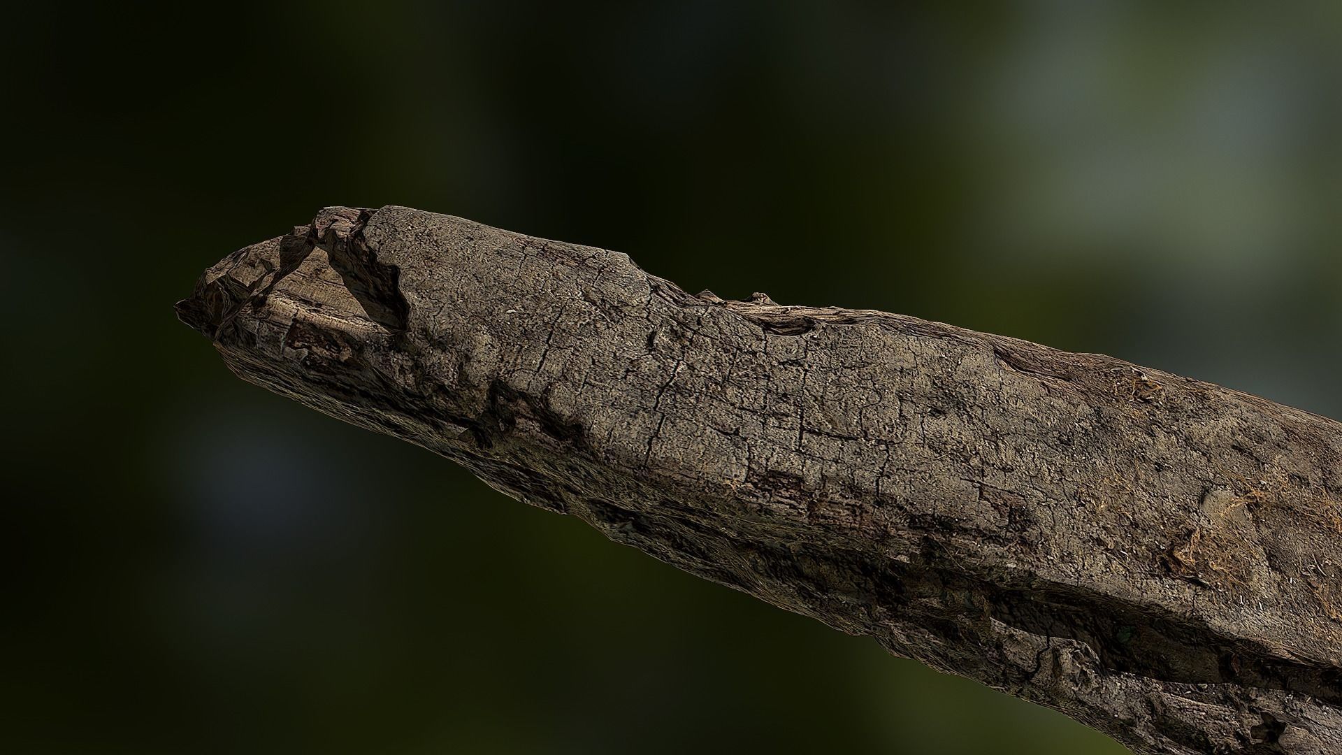 Old rotten wood low poly 3D model Low-poly 3D model_9