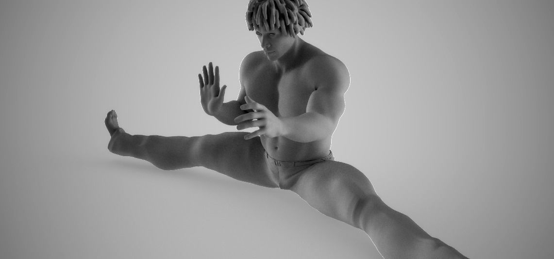 Karate Exercise 3D print model_6