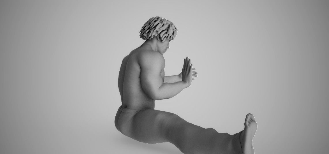Karate Exercise 3D print model_3