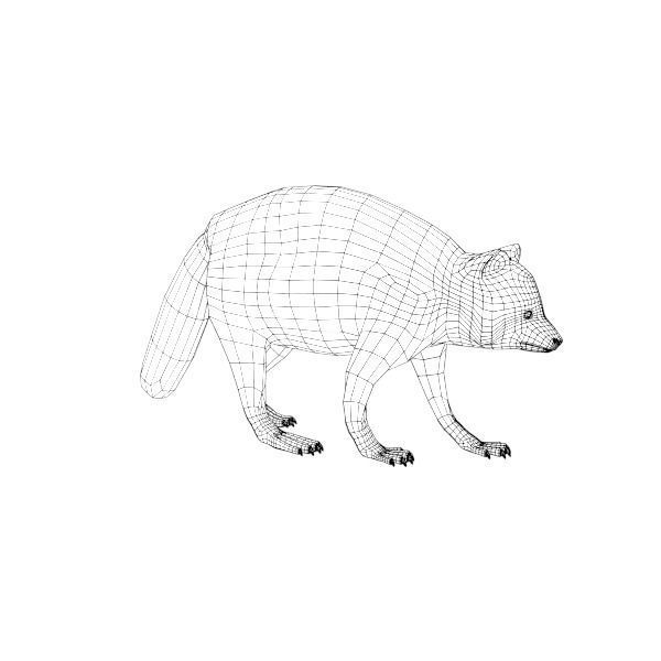 Raccoon on platform 3D model_3