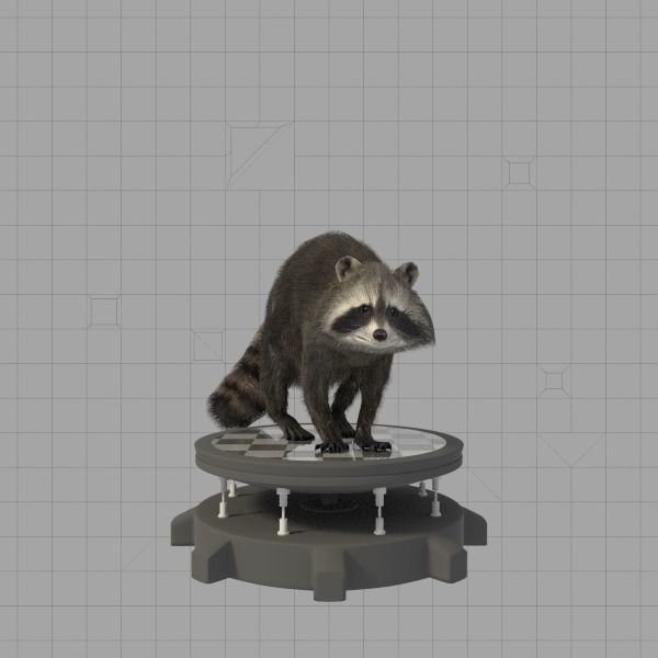 Raccoon on platform 3D model_2