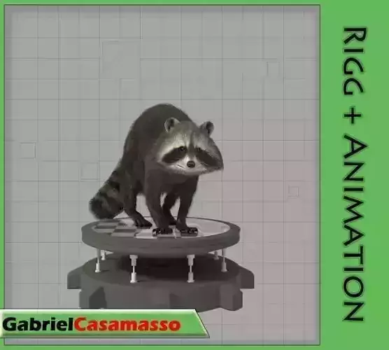 Raccoon on platform 3D model
