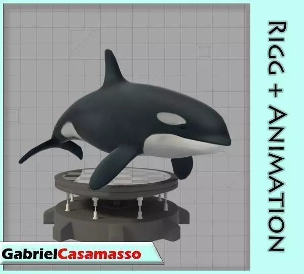 Killer Whale Low-poly 3D model_0