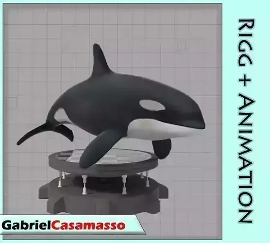 Killer Whale Low-poly 3D model