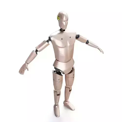 Male Crash Test Dummy