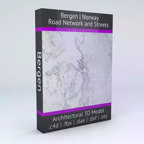 Bergen Area Road Network and Streets 3D model