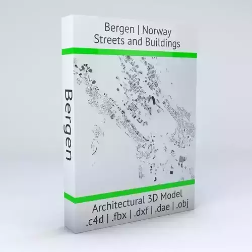 Bergen Streets and Buildings 3D model