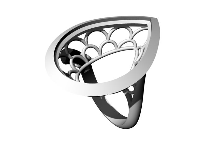 An 16 ring in silver 3D print model