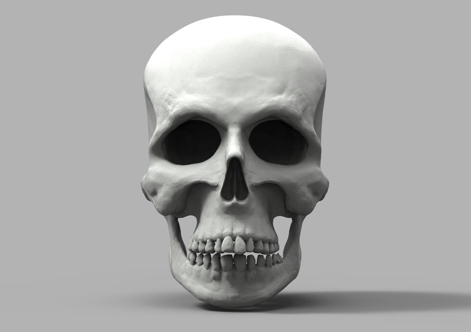 SketchAnatomy  Studying the human figure  3D print model_20