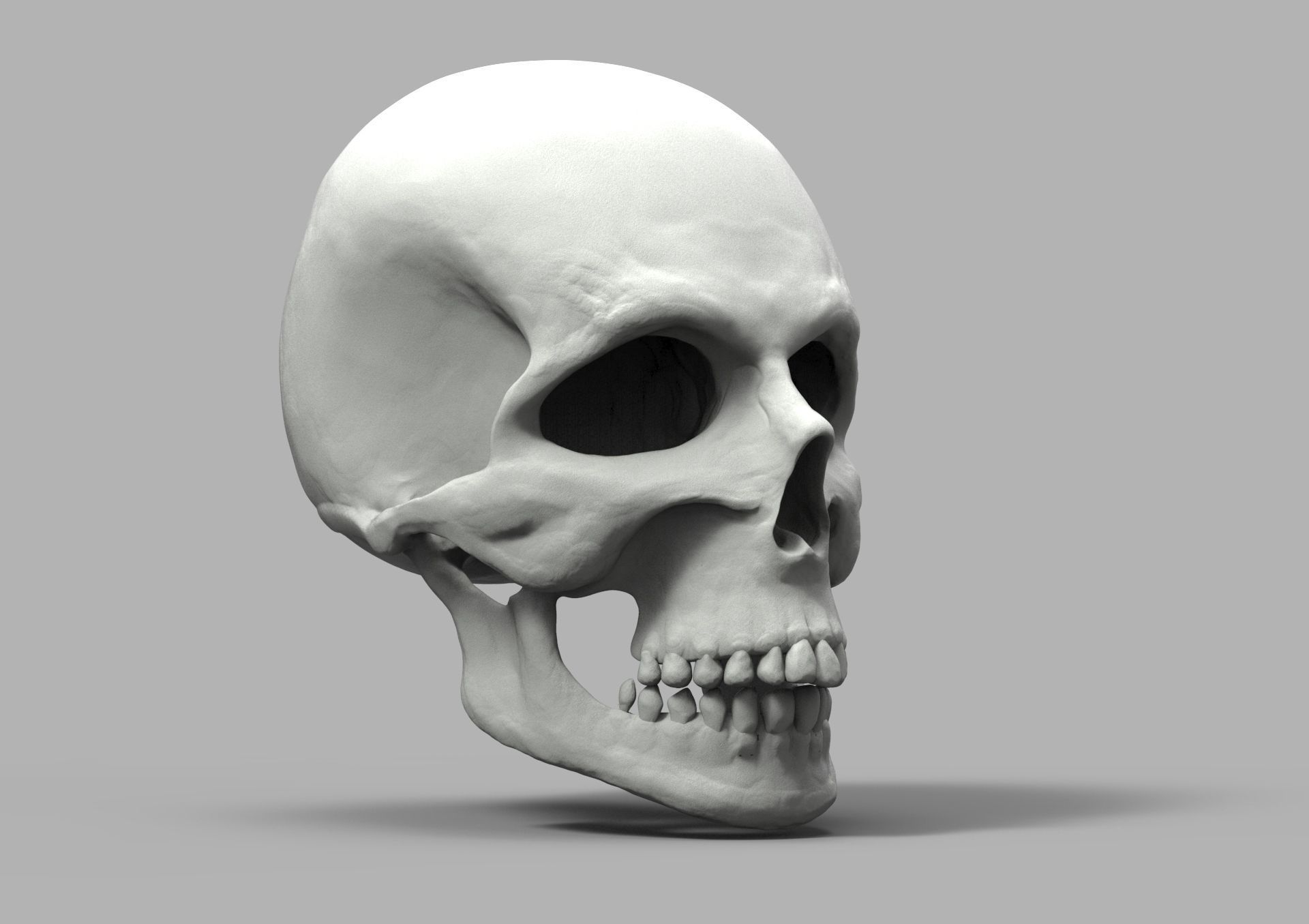 SketchAnatomy  Studying the human figure  3D print model_23