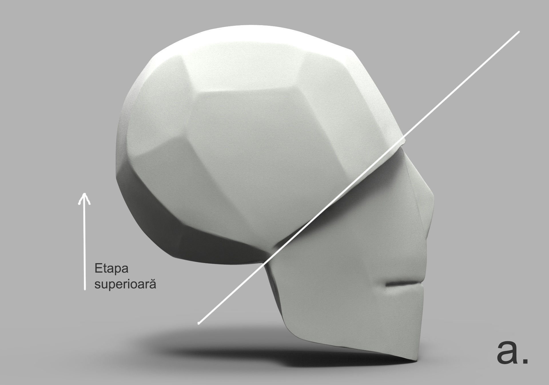 SketchAnatomy  Studying the human figure  3D print model_11
