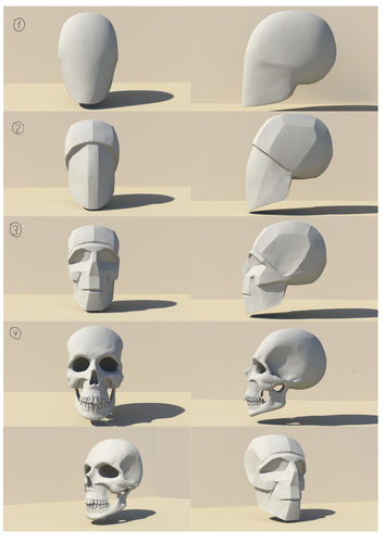 SketchAnatomy  Studying the human figure  3D print model