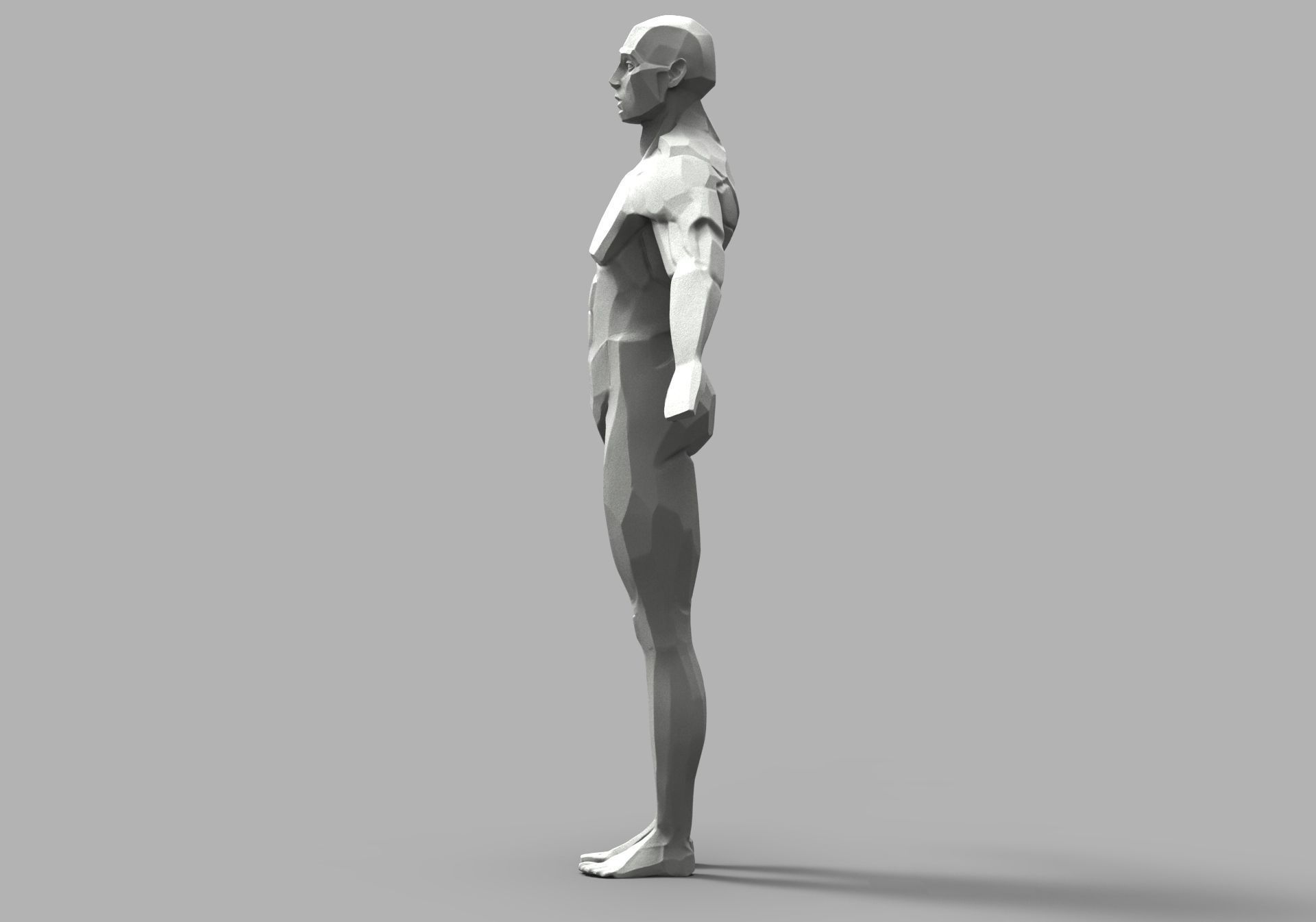 SketchAnatomy  Studying the human figure  3D print model_32