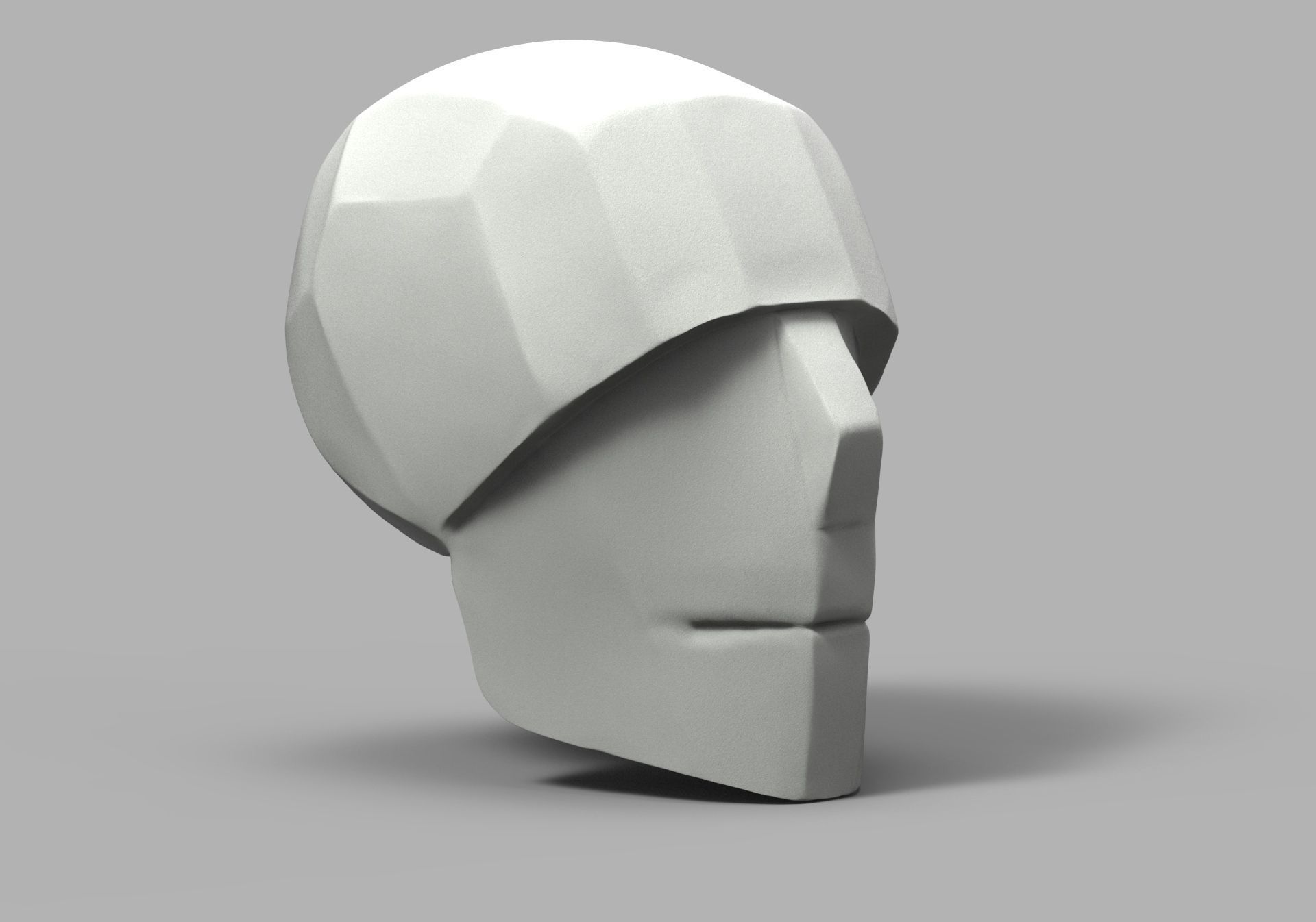 SketchAnatomy  Studying the human figure  3D print model_18