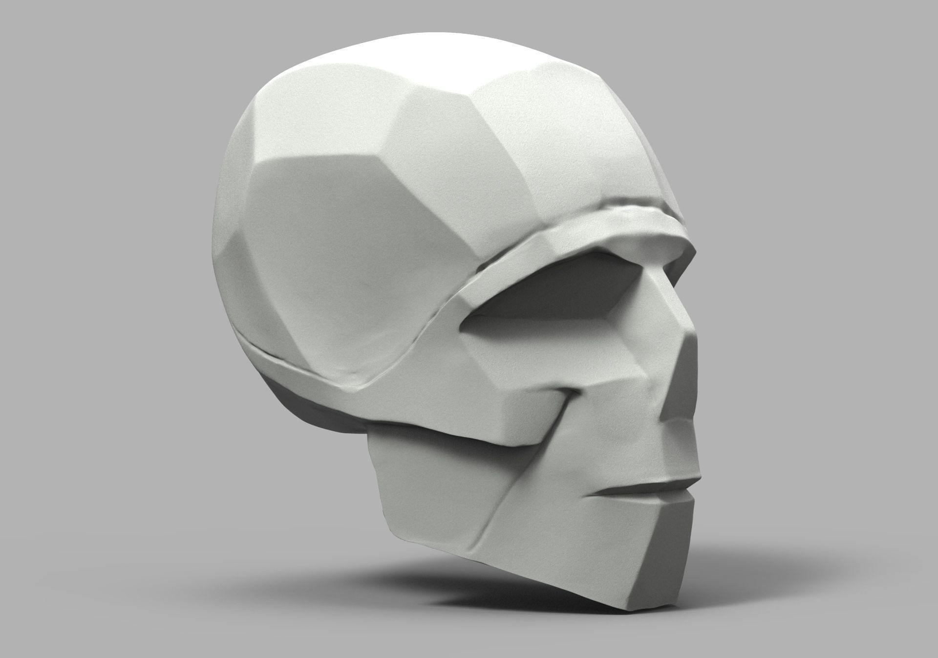 SketchAnatomy  Studying the human figure  3D print model_21