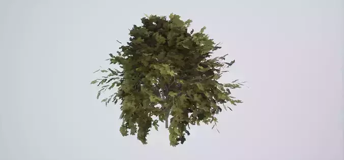 Tree Color Low-poly 3D model