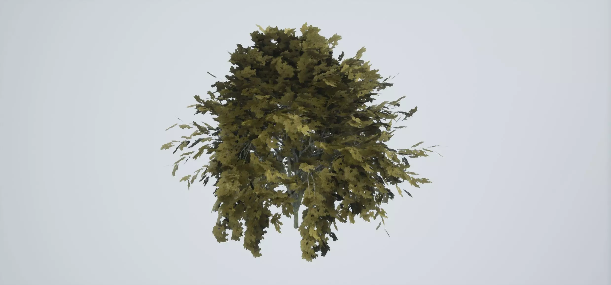3D model Tree Color VR / AR / low-poly | CGTrader