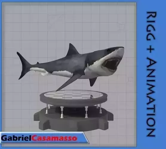Great White Shark 3D model