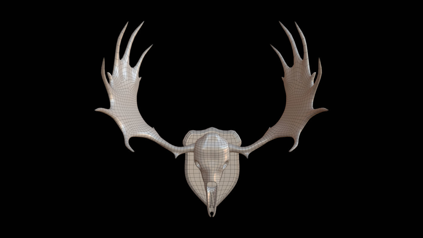 Moose Skull  Low-poly 3D model_3