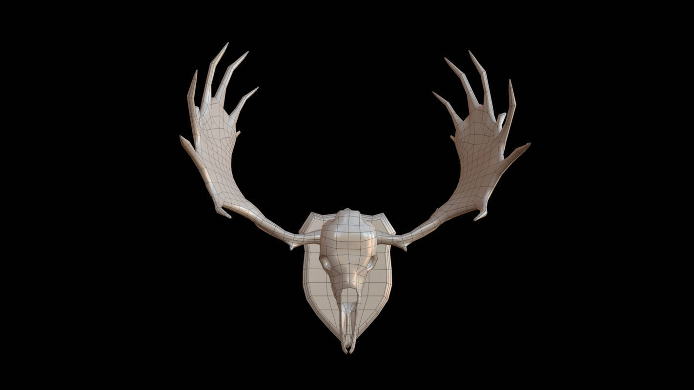 Moose Skull  Low-poly 3D model_5