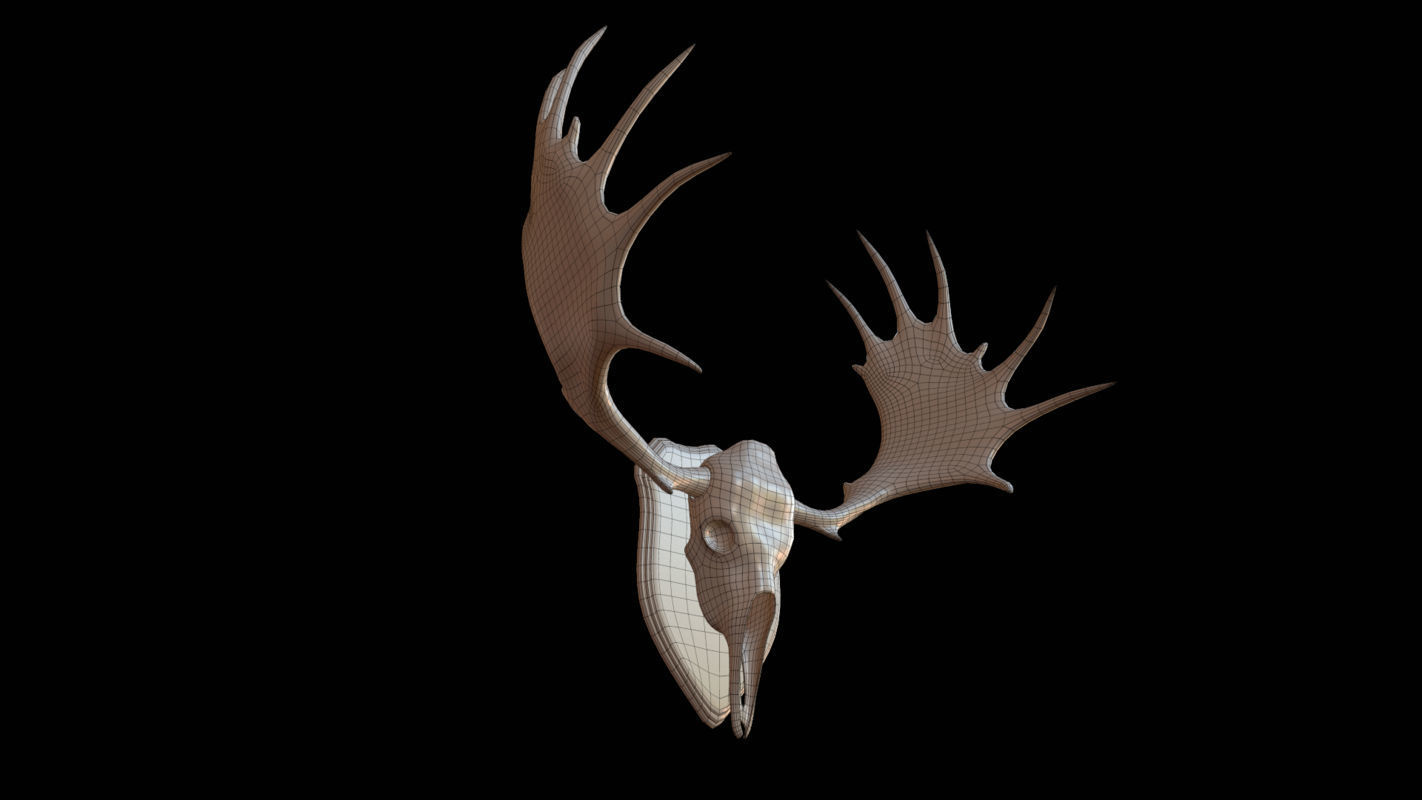 Moose Skull  Low-poly 3D model_2