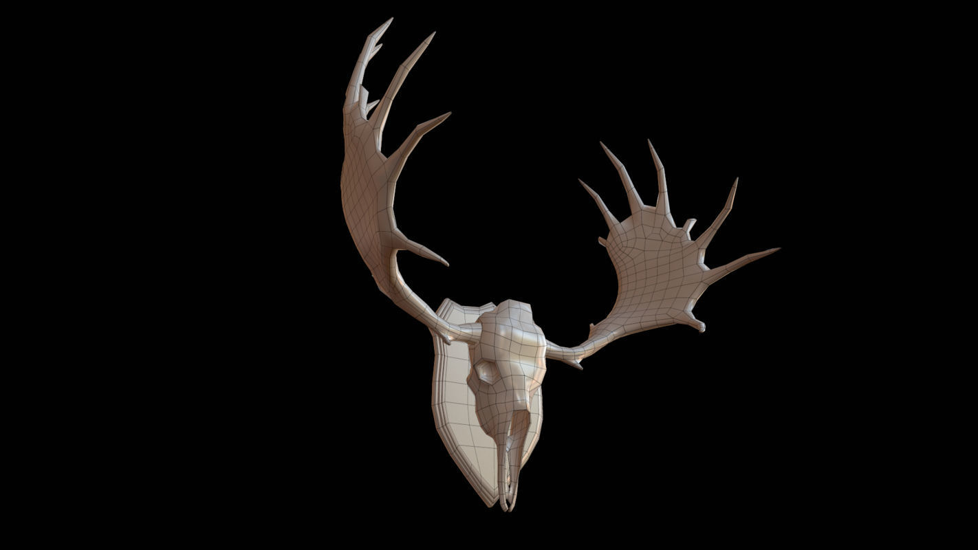 Moose Skull  Low-poly 3D model_4