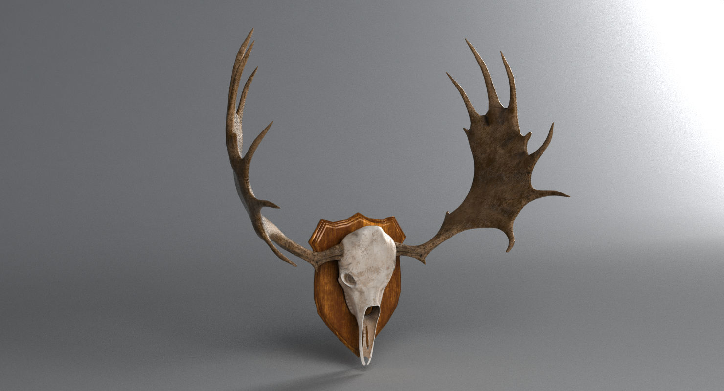 Moose Skull  Low-poly 3D model_1