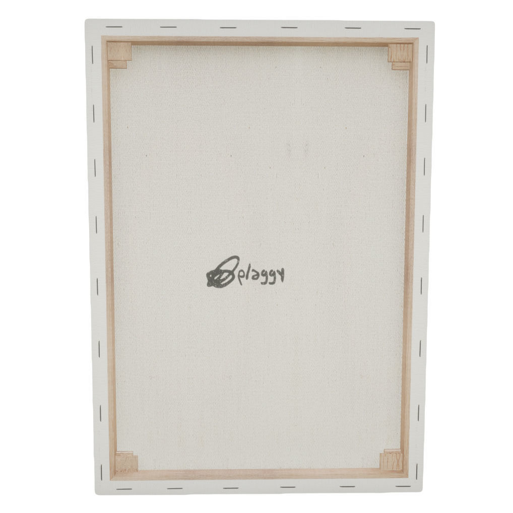 Canvas - Plaggy Bag Low-poly 3D model_2