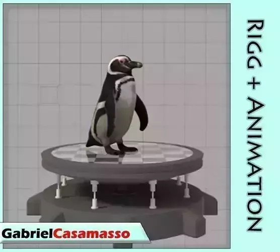 Magellanic Penguin Low-poly 3D model