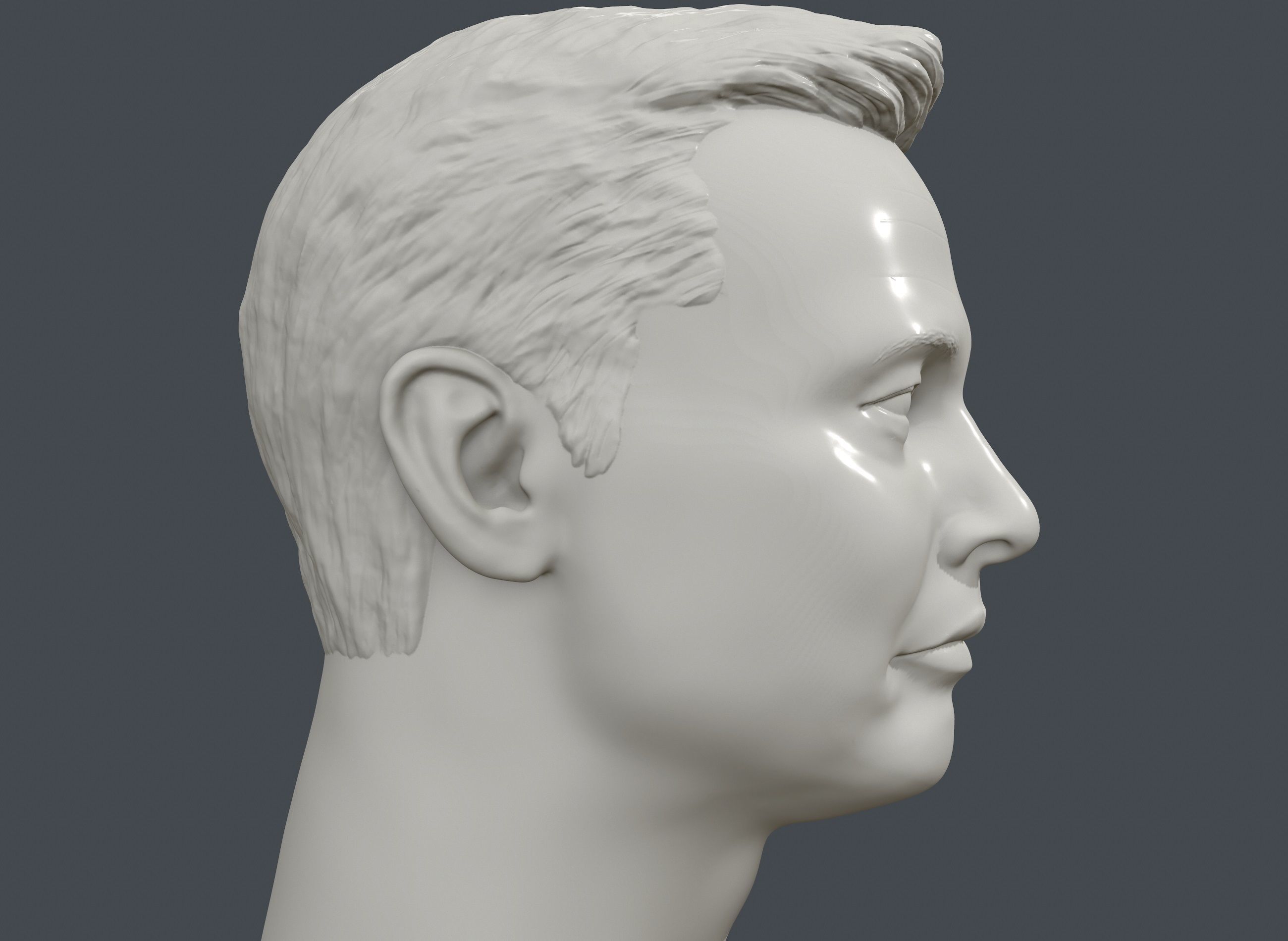 Elon Musk 3D printable portrait sculpture  3D print model_8